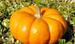 哪些娱乐新闻最受欢迎 热门大瓜每日必吃,每日必吃的热门大瓜盘点