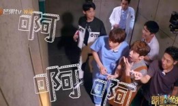 演艺圈明星系列长篇 明星大侦探第五季,悬疑迷局再升级，明星侦探团破案风云录